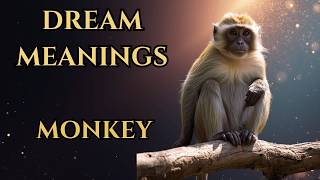 What Does Seeing a Monkey in a Dream Mean? Caution!