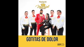 Video de Mariachi Imperial Valledupar