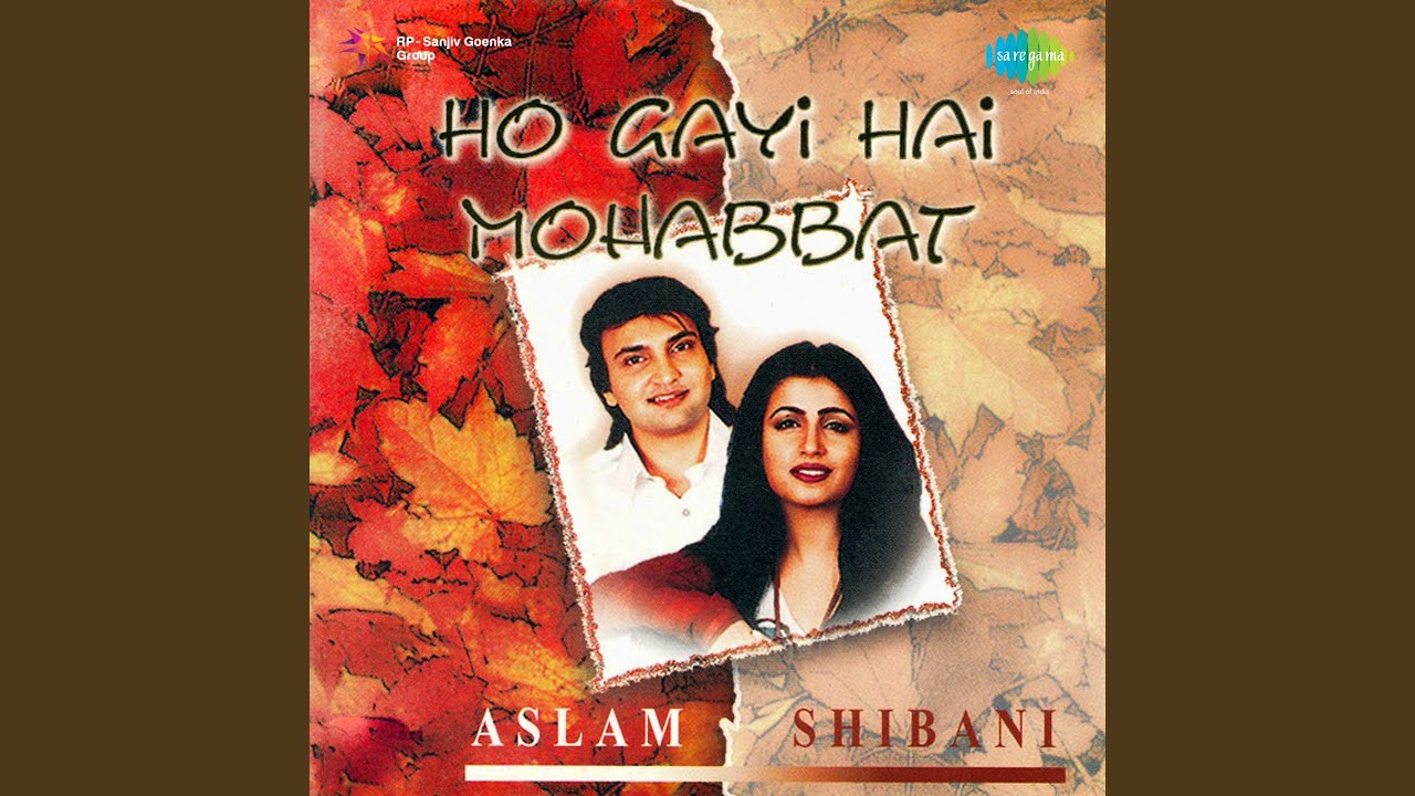 Yeh Sunehare Pal Lyrics | Ho Gayi Hai Mohabbat | Aslam | Aslam