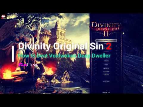 Divinity Original Sin 2 How to beat Voidwoken Deep Dweller HD 60fps