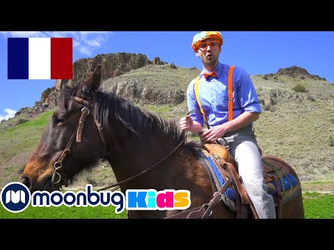 Blippi visite une Ferme!!| BLIPPI en Français | Vidéos Pour Enfants | Moonbug en Français