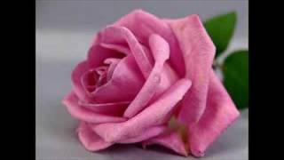 Respiro amor-intocable