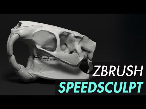 Nutria Skull ZBrush Speed Sculpt