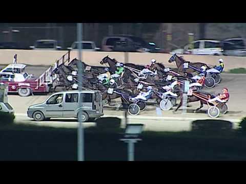 Aversa trotto 15 Gennaio 2020 - 5° Corsa