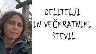 DELITELJI IN VEČKRATNIKI