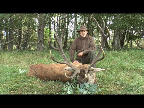 Vater und Sohn erlegen Ihren ersten Hirsch!