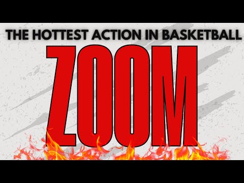 Breakdown of the Zoom Action