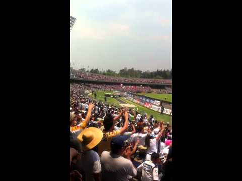 "CHICO CHE Y COMO NO TE VOY A QUERER! CIUDAD UNIVERSITARIA" Barra: La Rebel • Club: Pumas