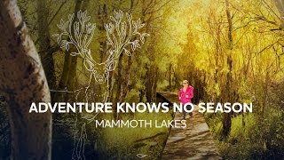 Adventure Knows No Season