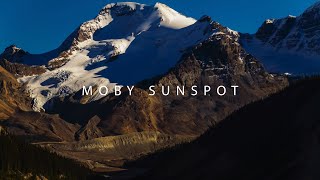MOBY SUNSPOT