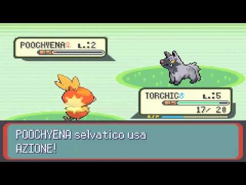 La Storia Delle Generazioni Pokemon