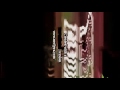 Unweird Windows Xp Csupo Sing The Intel Song Fixed