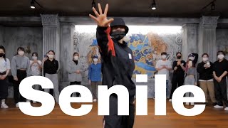 [Mirrored] Young Money - Senile ft. Tyga, Nicki Minaj, Lil Wayne / Leejung Choreography