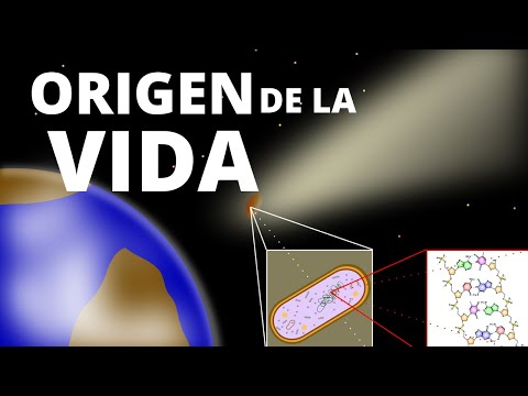 10 theories of the origin of life (easy to understand). Biology🦠
