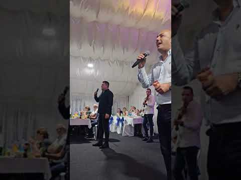 Bistri izvor - Zoro, Zorice... (Veselje kod Dragana Jovića)