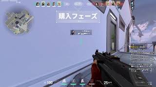 valo追い込みランク　ガンエボしたかった
