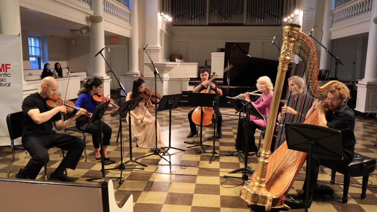Promotional video thumbnail 2 for Zane Mallett, Harpist