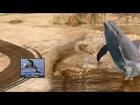 Red Alert 2: [YR] - 10 Dolphin Abilities