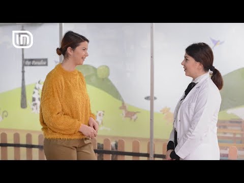 Shërbimet veterinere të "Pet Paradise" në Life is Better with Friends 20/12/2017 | IN TV Albania