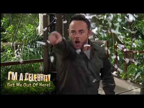 Ant Loses It With Dec Whilst LIVE | I'm A Celebrity... Get Me Out Of Here!