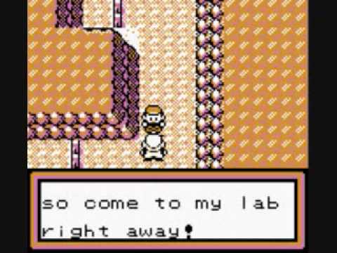 Pokemon Brown Part 1: Welcome to Rijon!