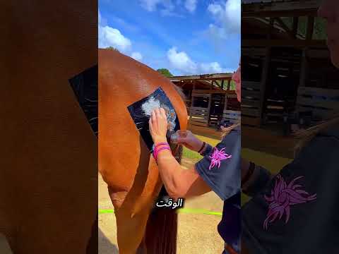 فكرة بسيطة خلّت حصانها يلفت أنظار الكل في السباق! 😲 #funny#reels #shorts