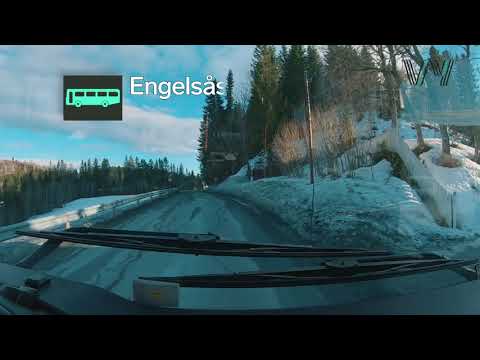 Linje 81 Bratsberg kirke - Nyjord (- Bruråk)