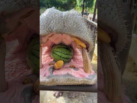 Have you Fed Hippos before 😇😇 #shorts #hippo #feedshorts