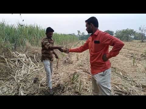 #Borewell point kadhtana #Panadi shivshankar latur