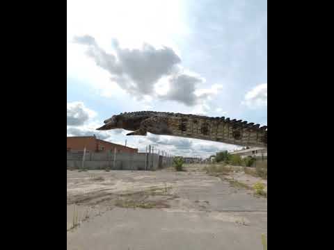 "Primavera Facistas 2" para Status #shorts