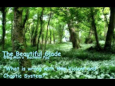 The Beautiful Glade - What is wrong with this Violent and Chaotic System?