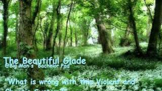 The Beautiful Glade - What is wrong with this Violent and Chaotic System?