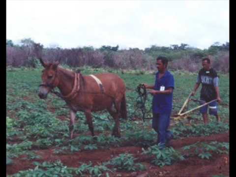 Leo Canhoto e Robertinho - Soldado sem farda