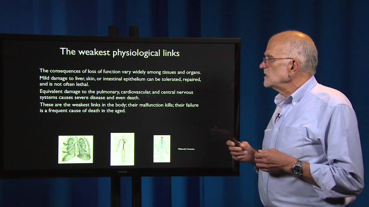 What is a Disease? From Vulnerable to Robust