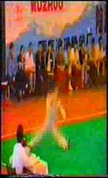 Wushu - Chang Quan 1986 - Zhang Chengzhong