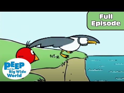 Chirp's Flight Program | Peep and the Big Wide World Full Episode!