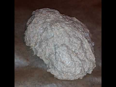 Dinkelvollkornmehl mit Hefe und Wasser in den heißen Ofen