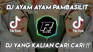 Download lagu DJ PAMBASILET SLOW BEAT VIRAL TIKTOK || DJ AYAM AYAM (DJ TEGUH PALEPII) II DJ TIKTOK TERBARU 2021 mp3