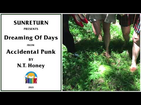 N. T. Honey - Dreaming Of Days