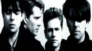 Echo and the Bunnymen   The Disease live