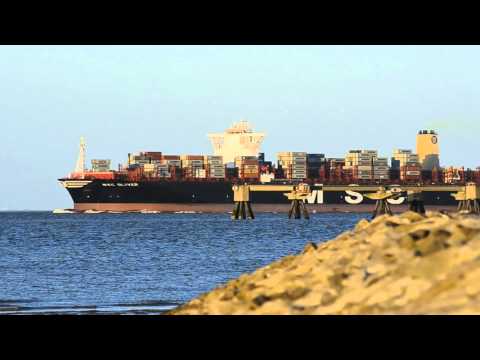 MSC OLIVER (L 395 m) auslaufend vom JadeWeserPort