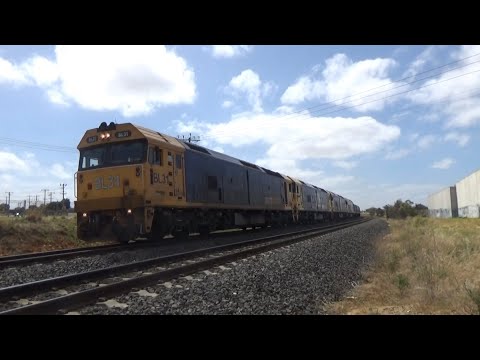 Pacific National BL31, BL26, BL33, BL30 7736V Grain Arriving At Bell Park