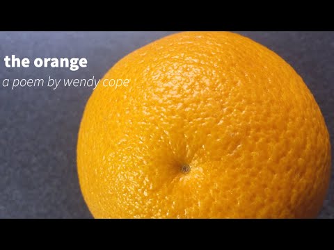 the orange—a poem by wendy cope//katherine noble