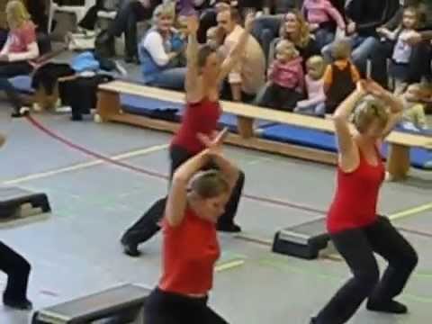 LSV Turnschau 2009 Lauenburger Sportverein Lauenburg / Elbe