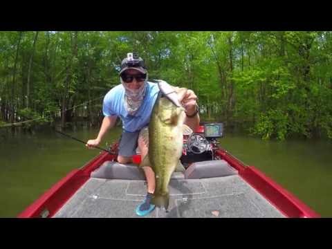 1B GoPro July
