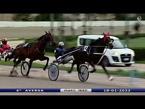 Aversa trotto 18 Gennaio 2023 - 6° Corsa