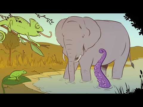 Soft Robotics - 4TU HTSF research programme