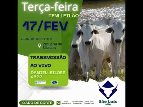 São Luís de Montes Belos - GO   17/02/2026