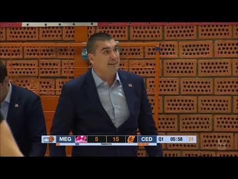 ABA Liga 2018/19, Round 14 match: Mega Bemax - Cedevita (5.1.2019)
