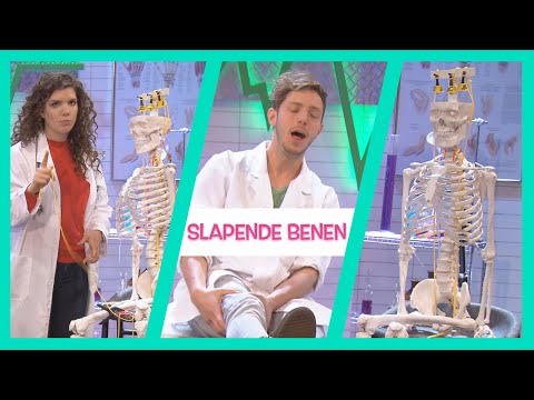 WAT ALS JE BEEN SLAAPT?! - TOPDOKS LABEXPERIMENTEN